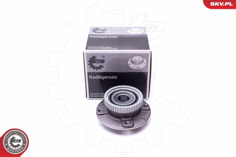 Wheel Bearing Kit